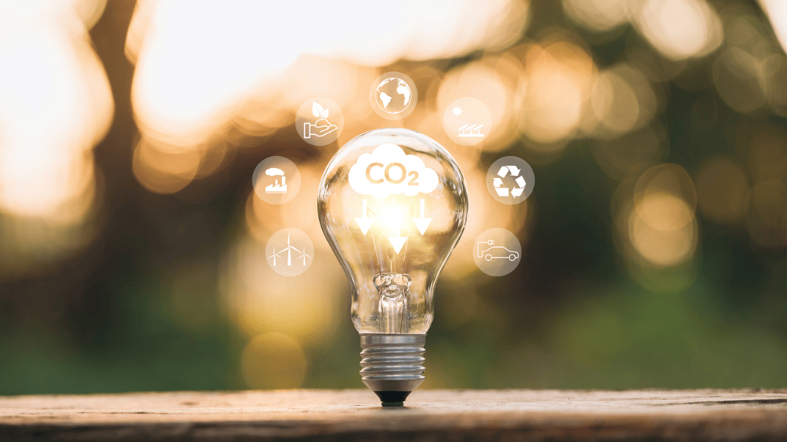 efforts-to-reach-net-zero-emissions-by-2050