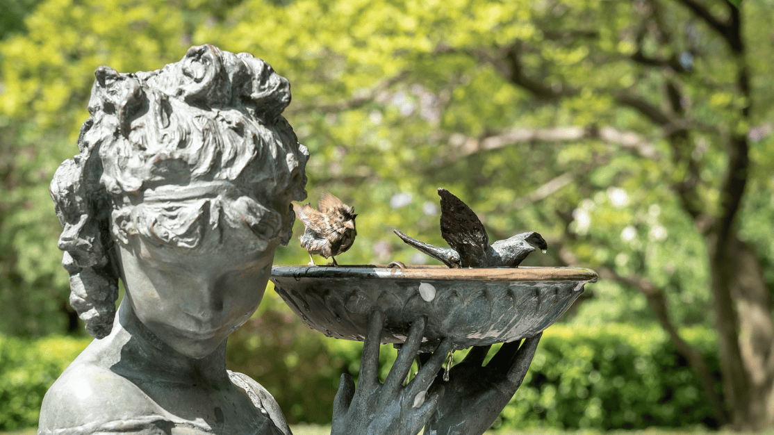 flacos-death-revives-bird-proofing-architecture