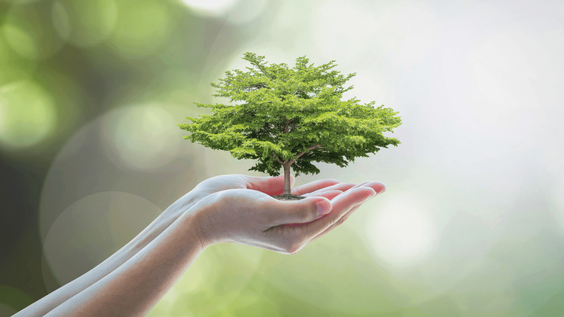 nyc-is-positive-about-carbon-neutrality